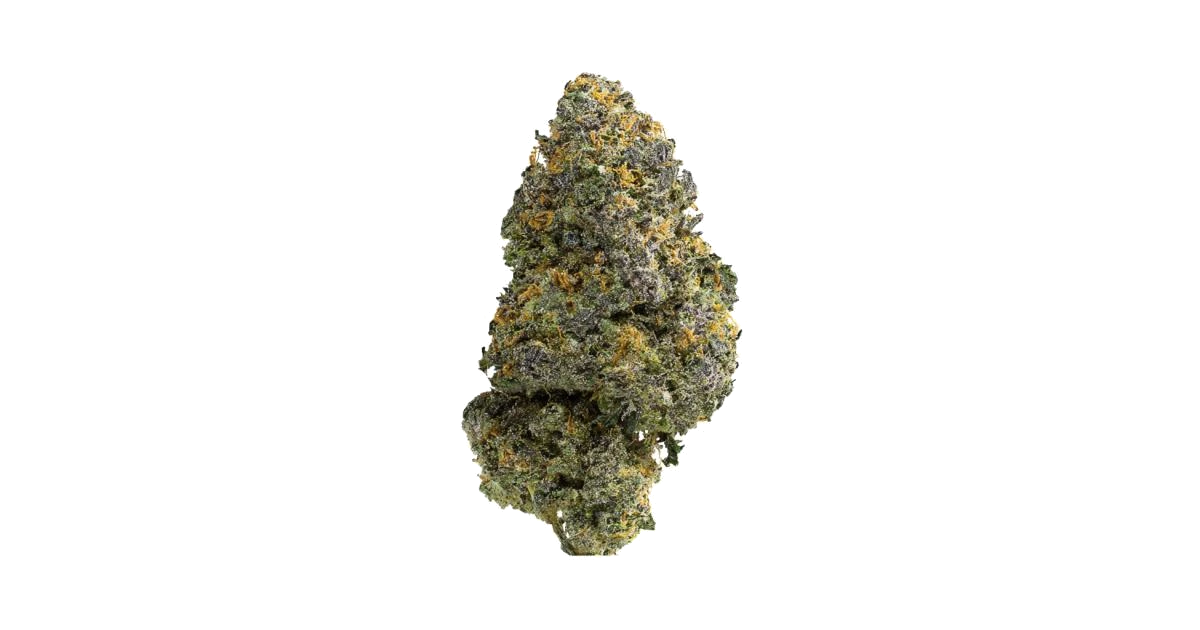 Platinum Bird