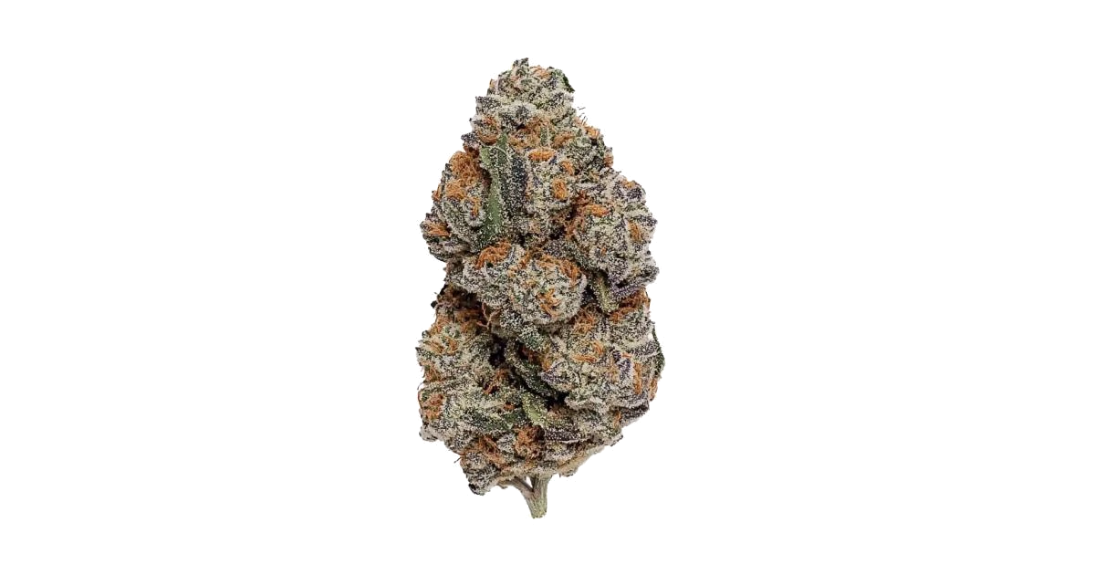 Platinum Garlic