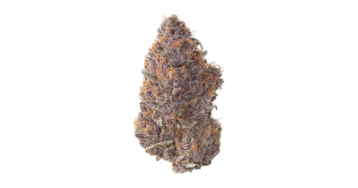 Purple #1