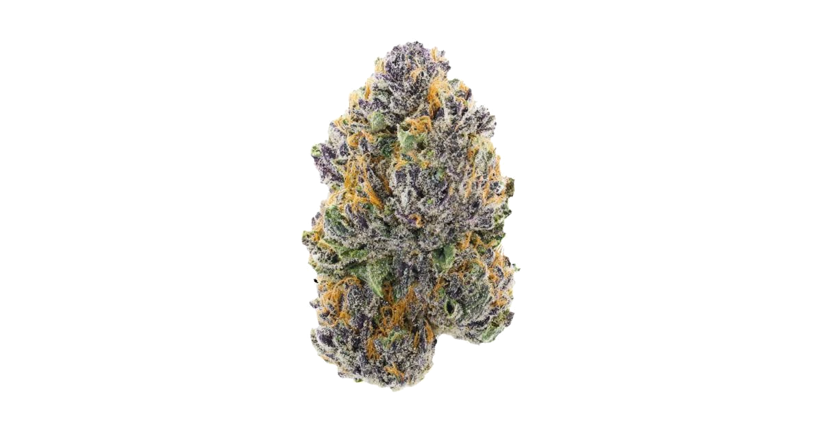 Purple Afghani