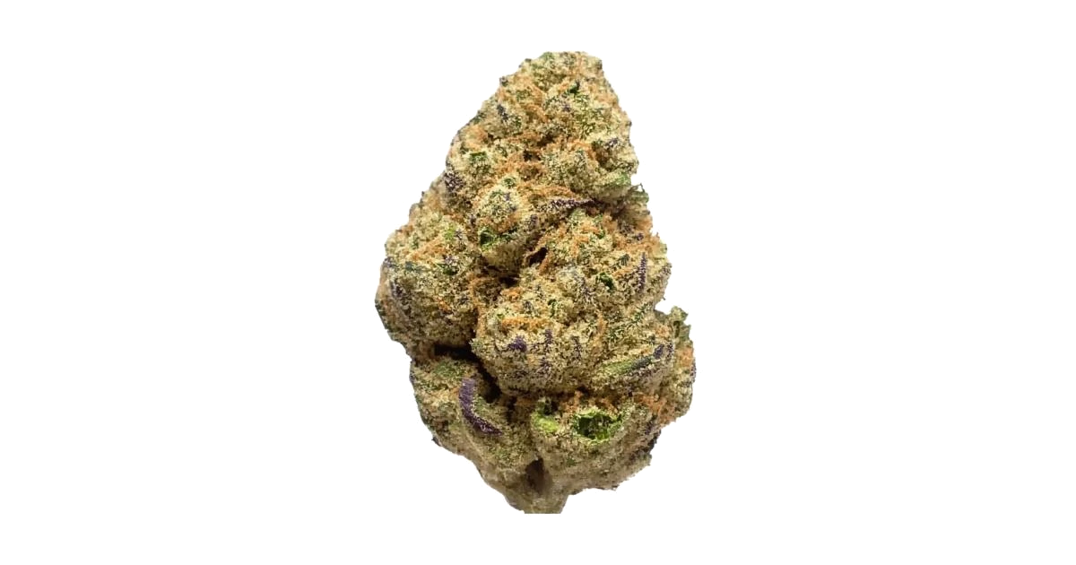 Purple Apricot