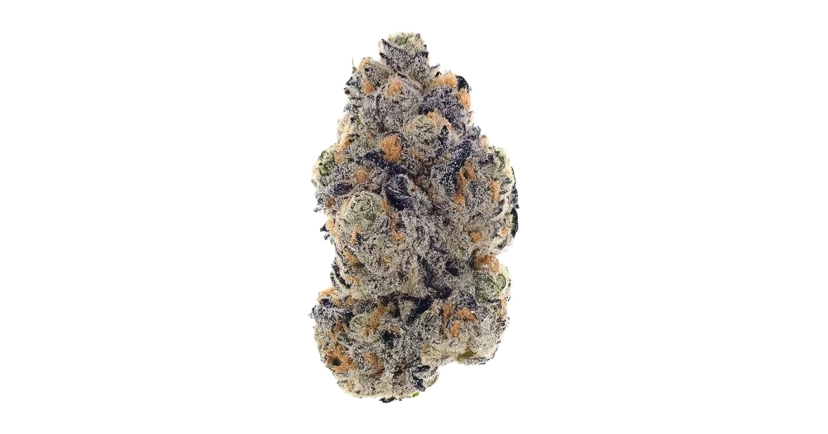 Purple Bud