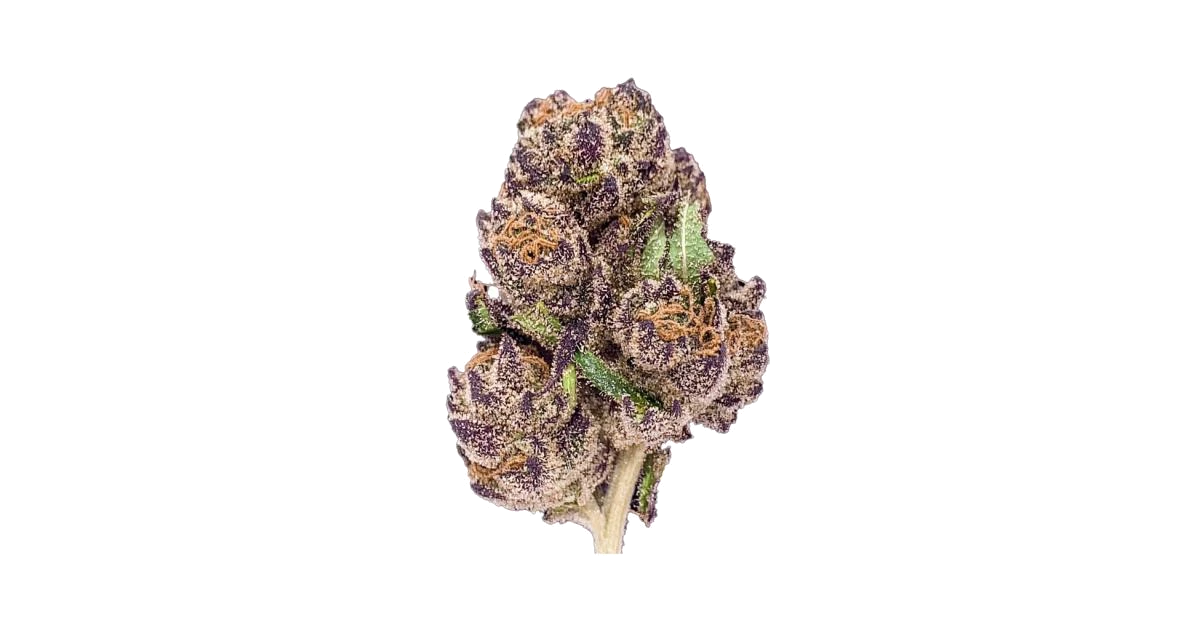 Purple Crack