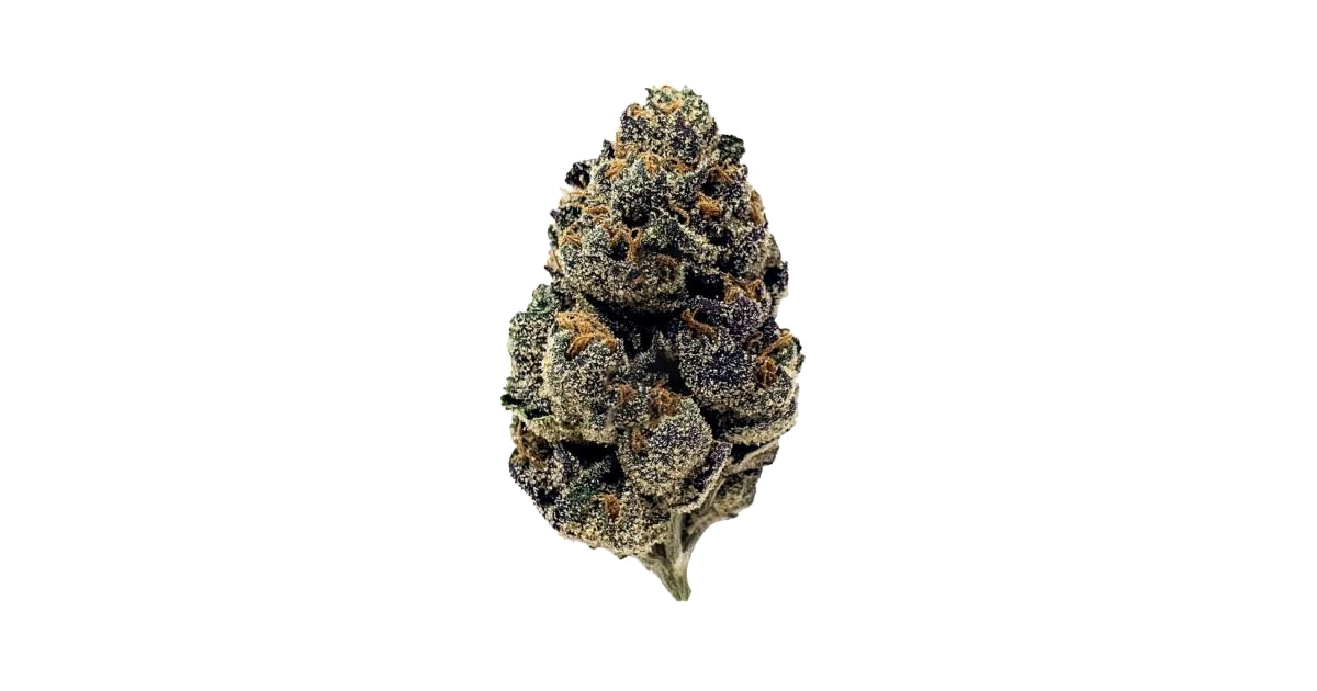 Purple Cream