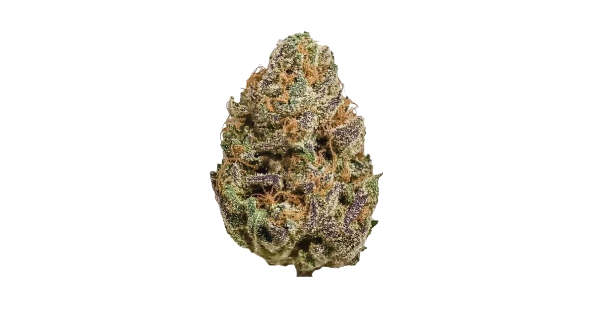 Purple Elephant