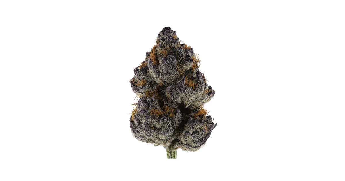 Purple Ghost Candy