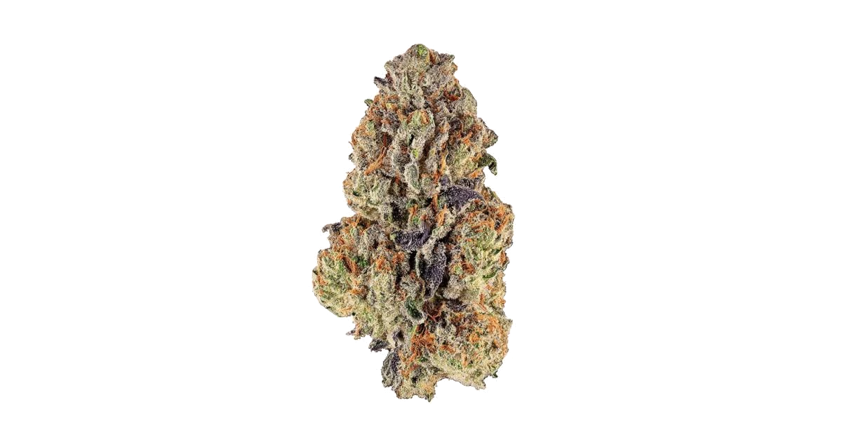 Purple Glue