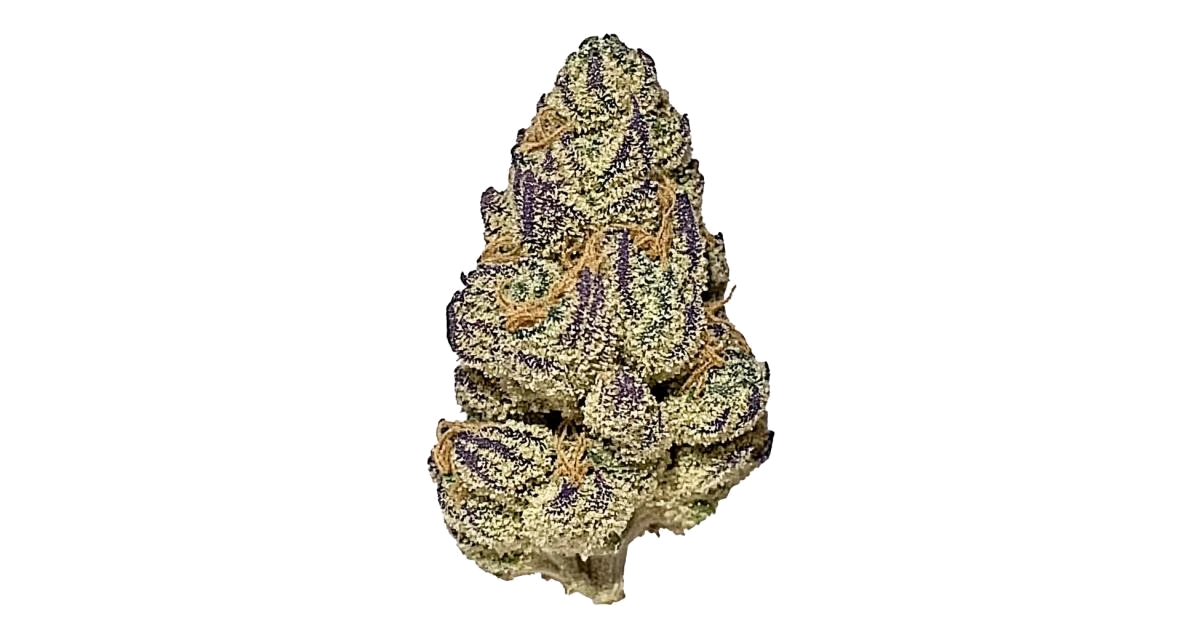 Purple Gushers