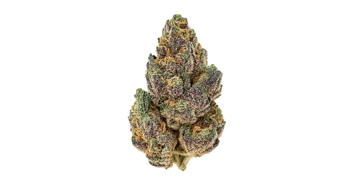 Purple Hindu Kush