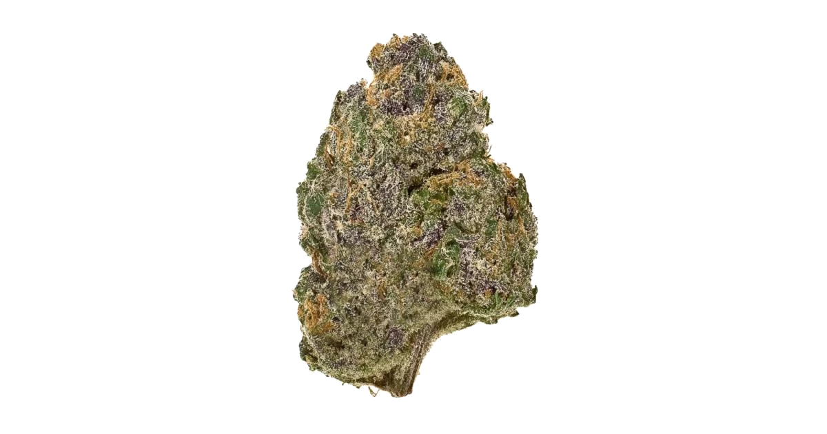 Purple Kush Auto