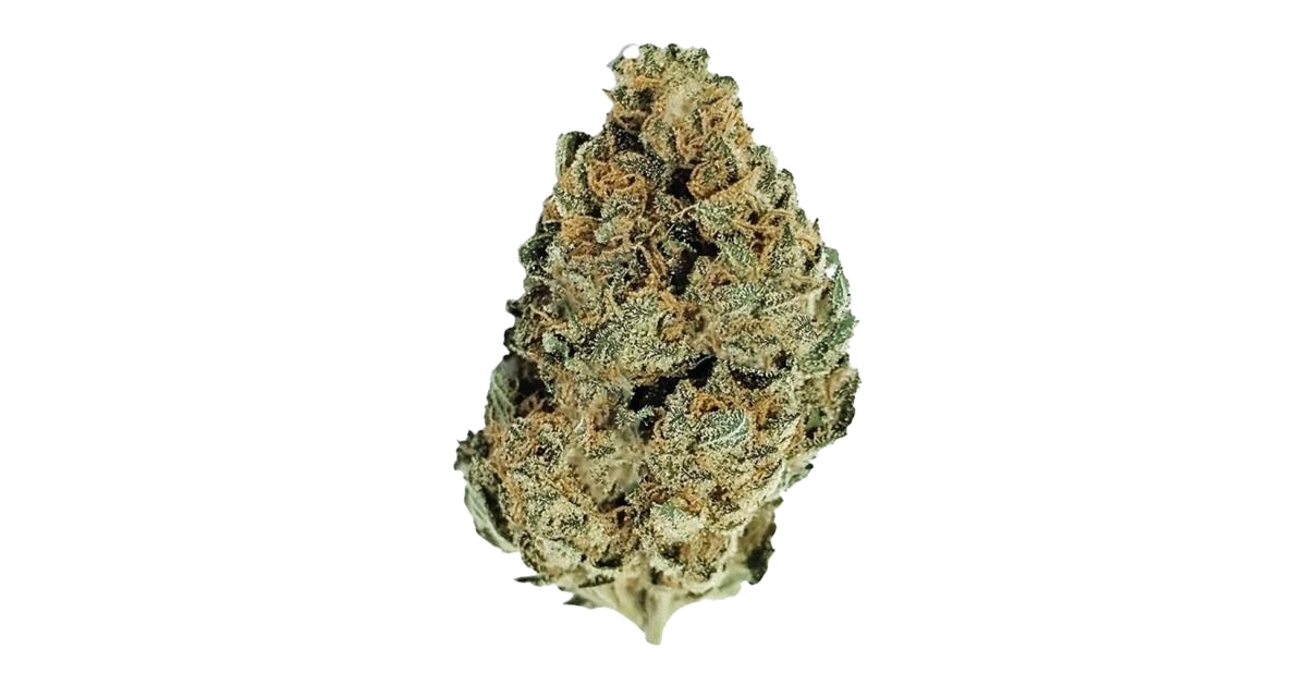 Purple Panty Dropper