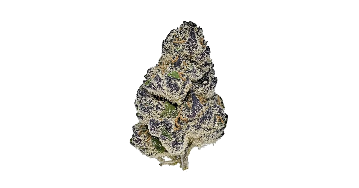 Purple Queen