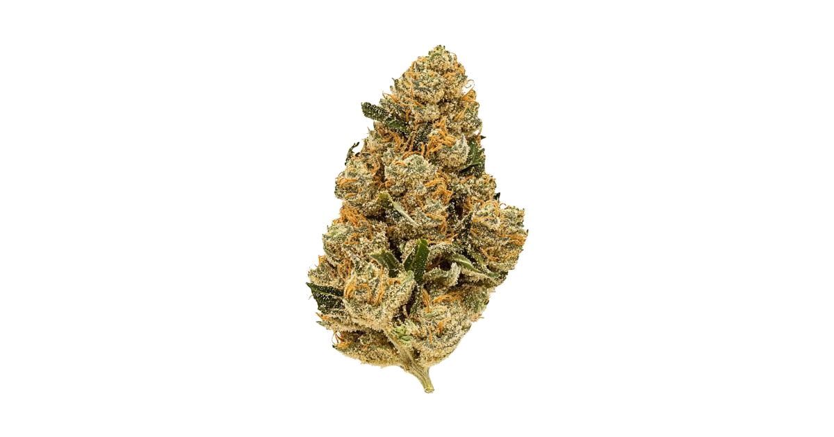 Purple Rhino