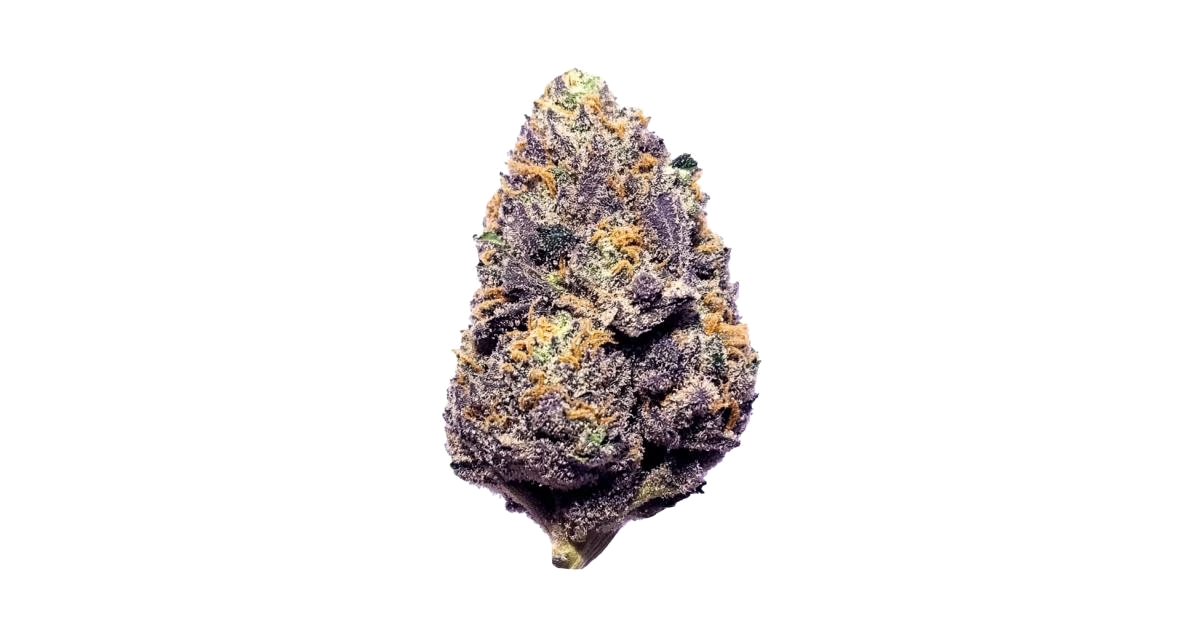 Purple Skunk