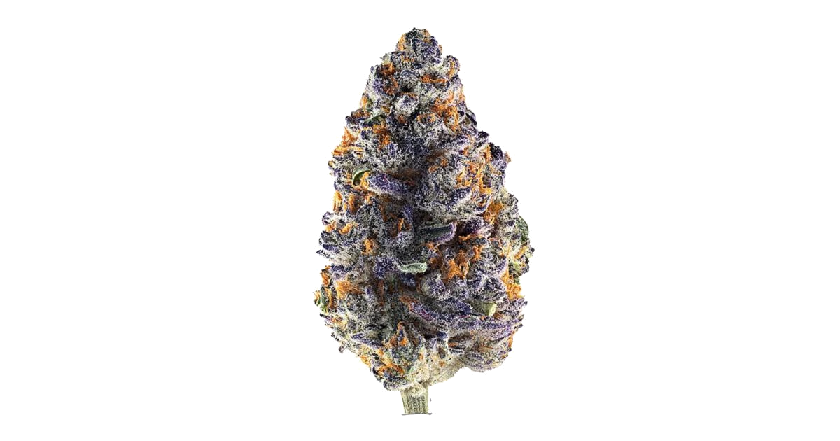 Purple Starburst