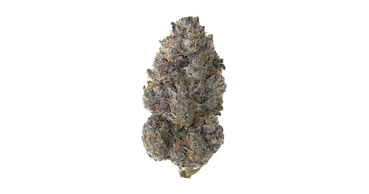Purple Thai