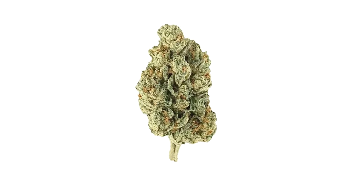 Purple Unicorn
