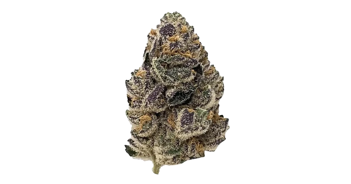 Rainbow Chip