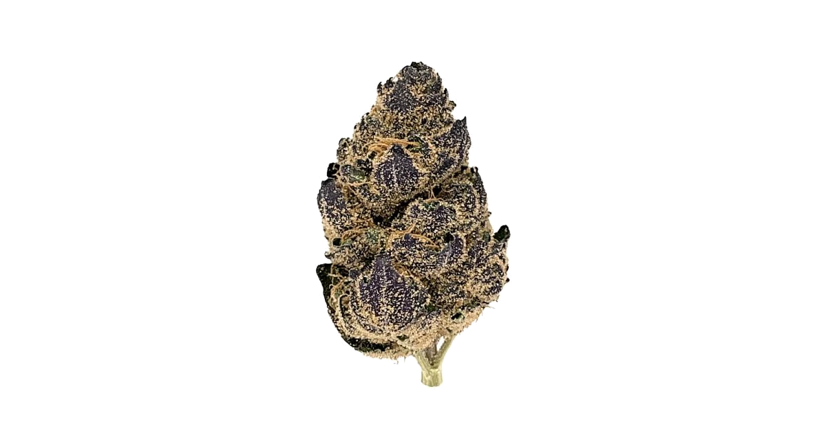 Rainbow Gelato