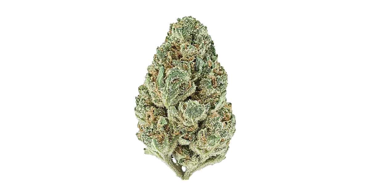 Ricky Bobby OG