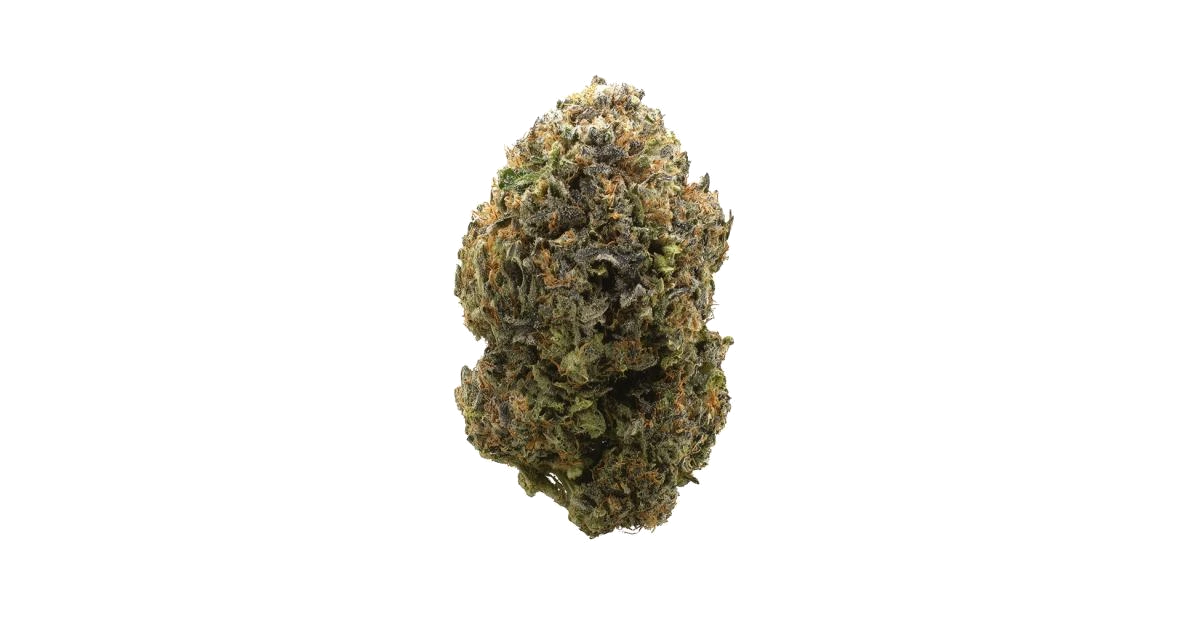 Rocket Fuel