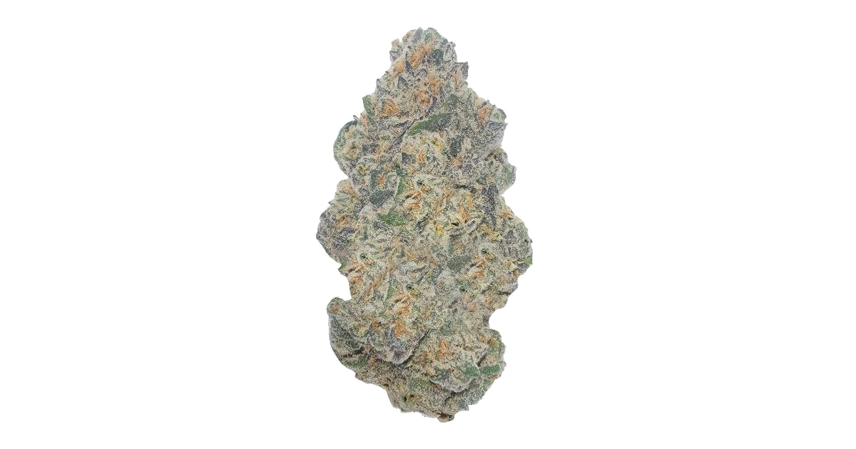 Rollinia