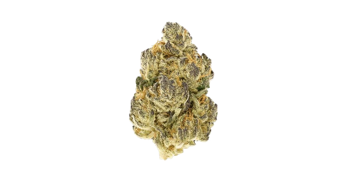 Royal Gorilla