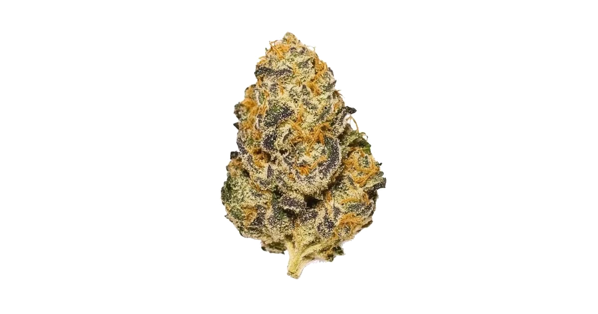 Royal Highness