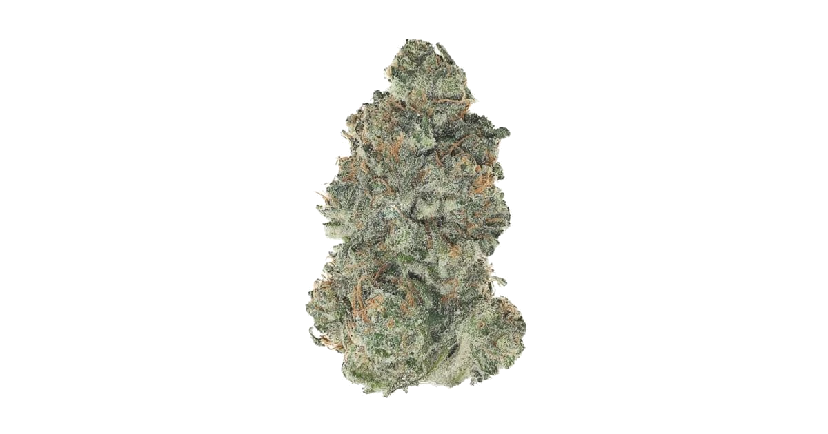 RudeBoi OG