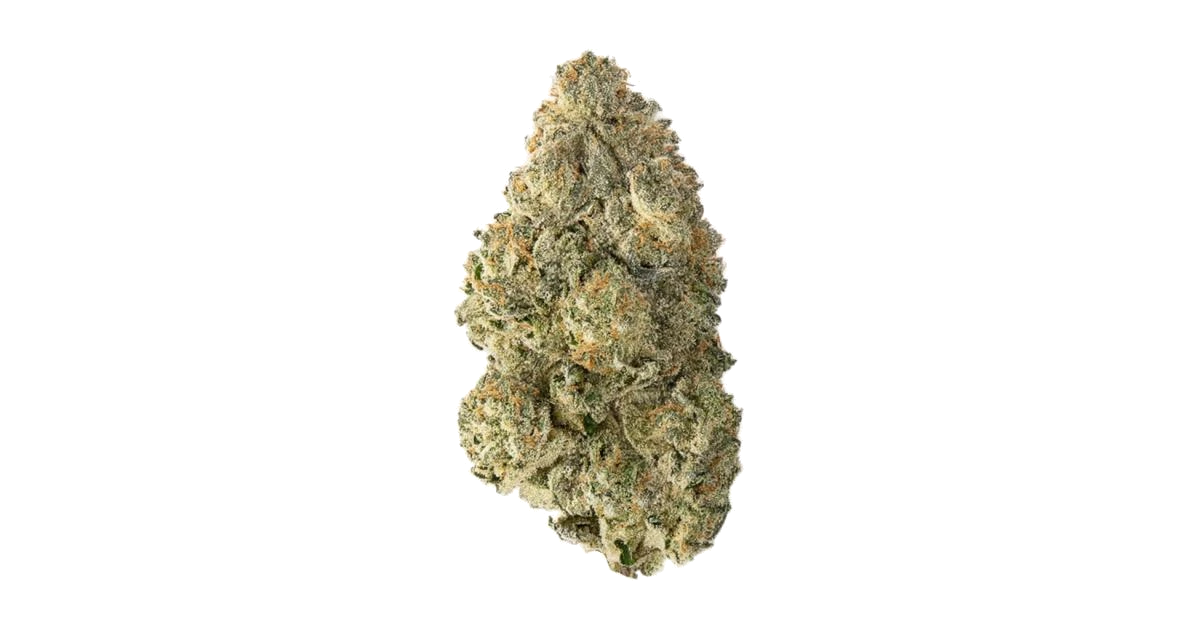 Satin Black Domina CBD