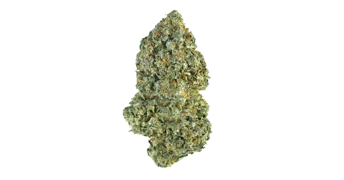 Sensi Skunk