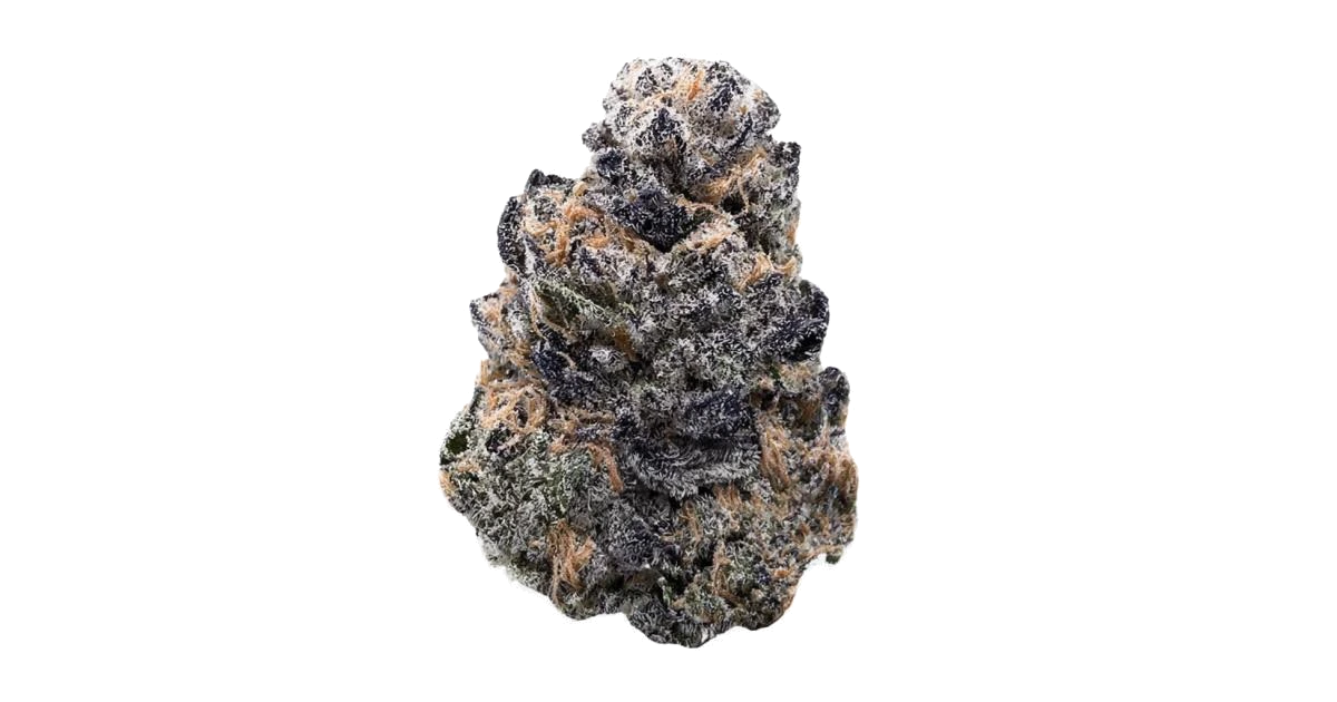 Shaman