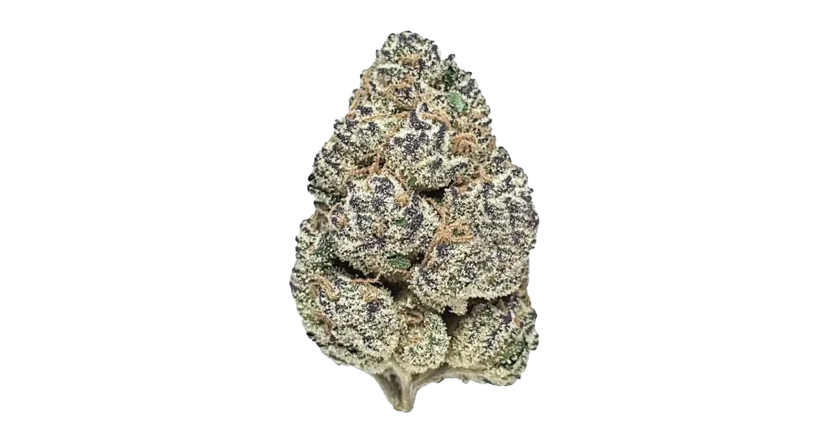 Sherbacio