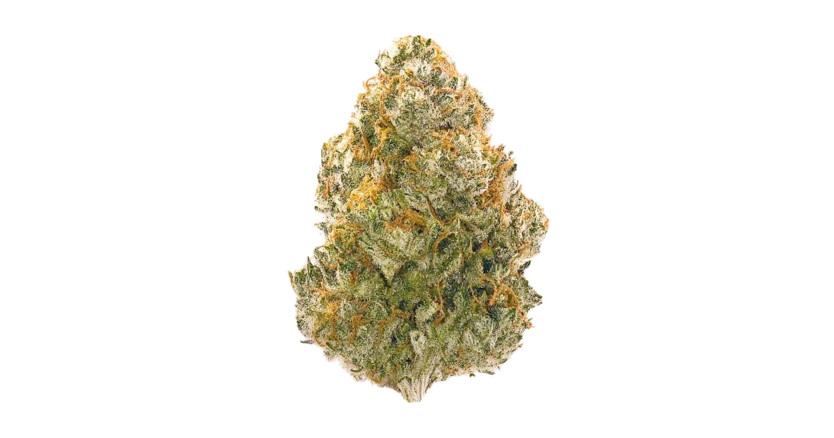 GG1
