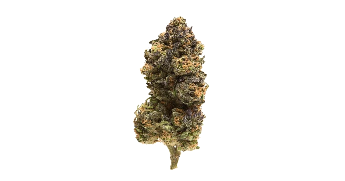 Skunk Ape