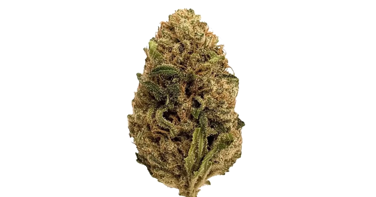Skywalker OG