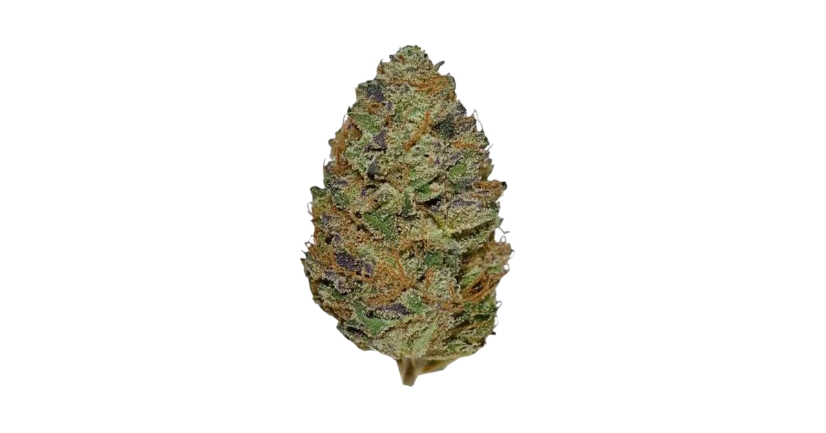 Sour Bubble