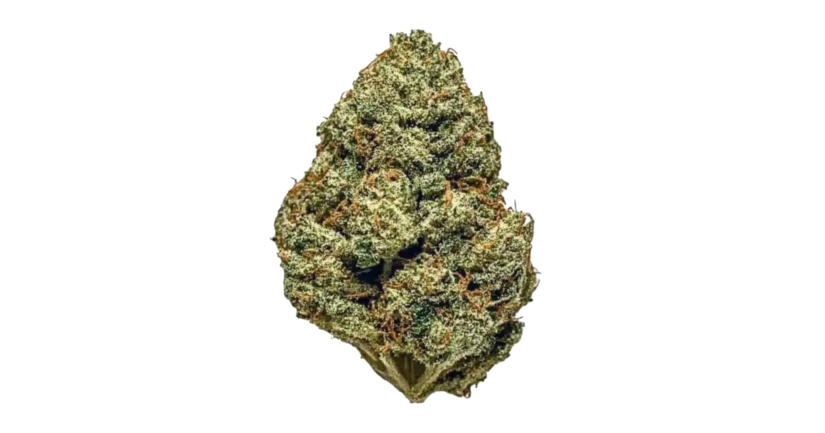 Sour Dubble