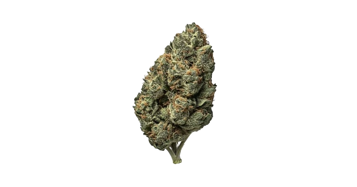 Sour Tangie
