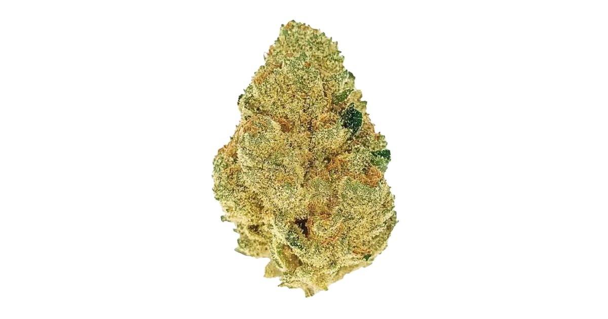 Sour Tsunami
