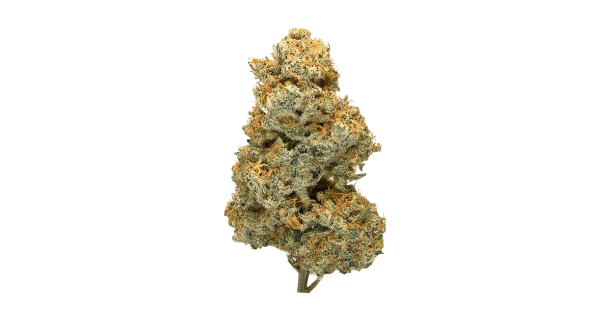 Space Cookies