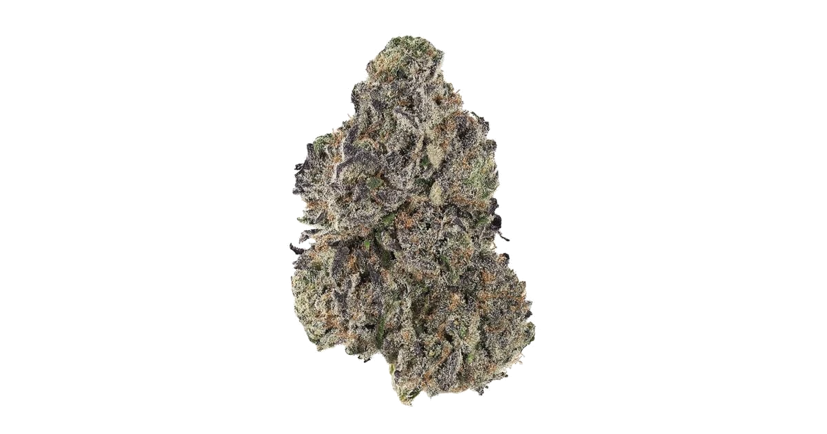 Starbud