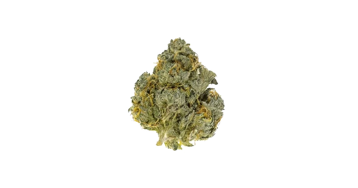 Stuffed Cherry Gelato