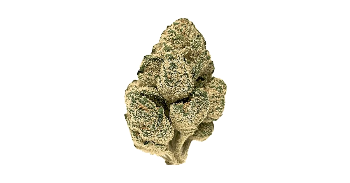 Sugar Cone