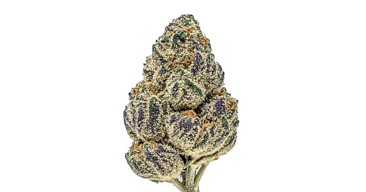 Sunset Gelato