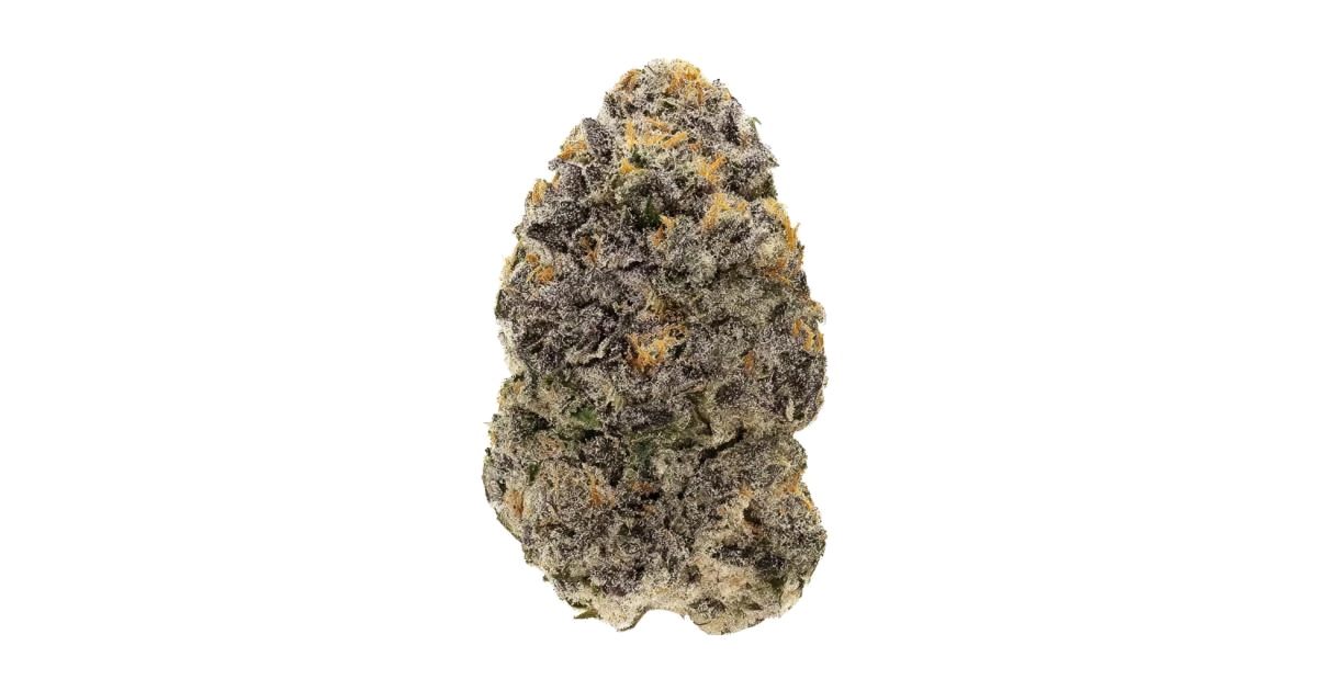 Sunset Sherbert-X