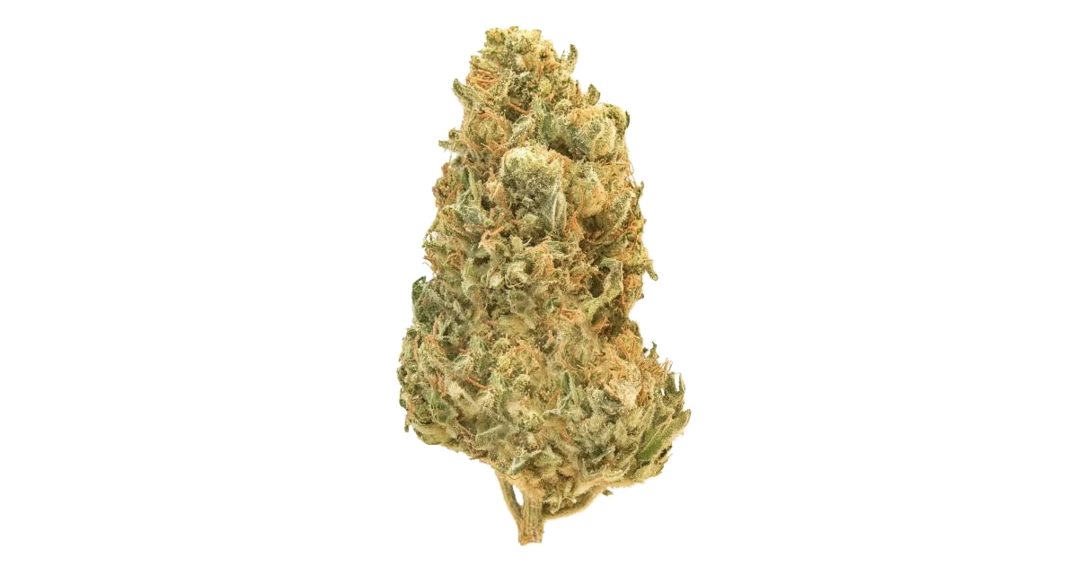 Super Mango Haze