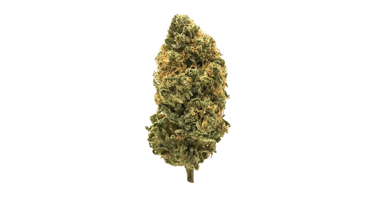Tahiti Lime