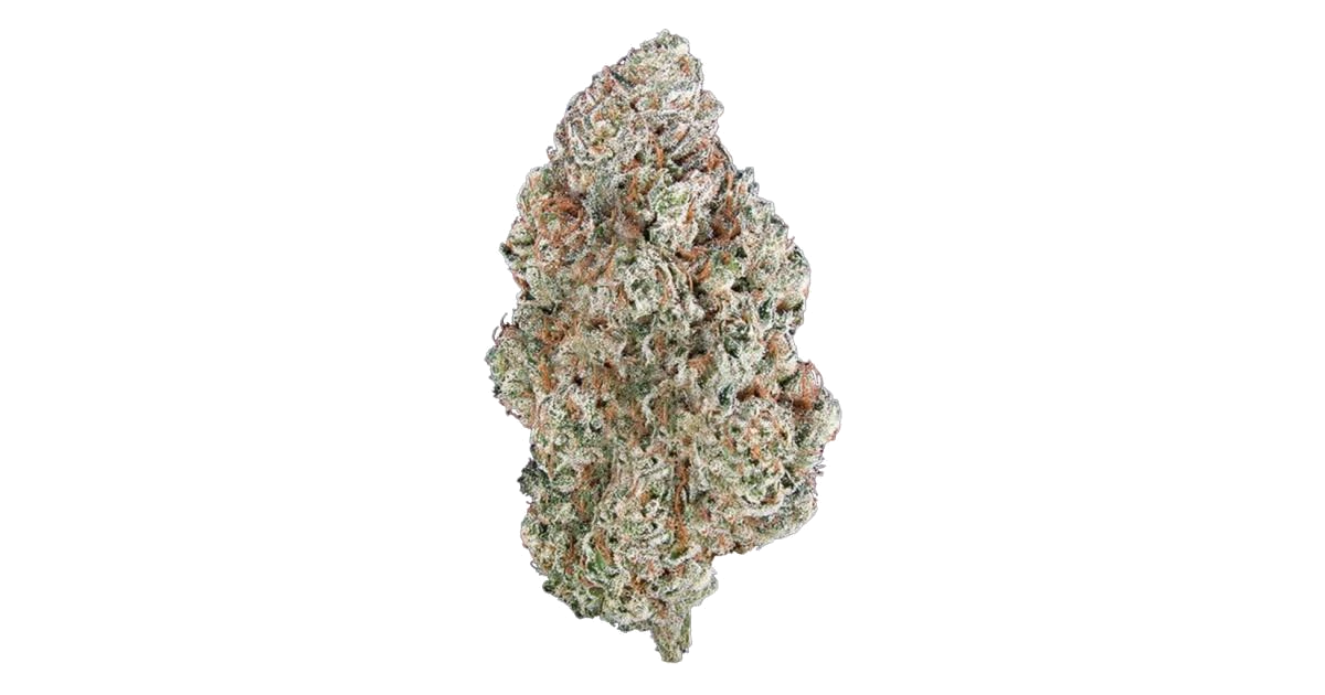 Tahoe Alien