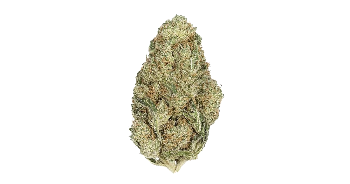 LMFAO - LMFAO - 1g Resin - Tropic Thunder
